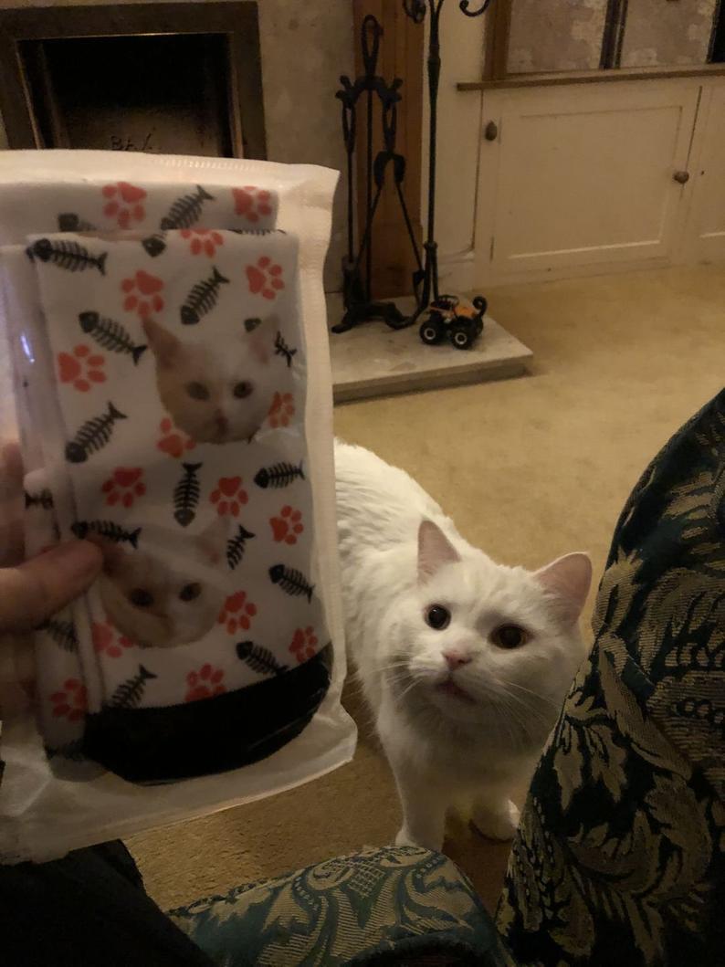 Custom Cat Socks