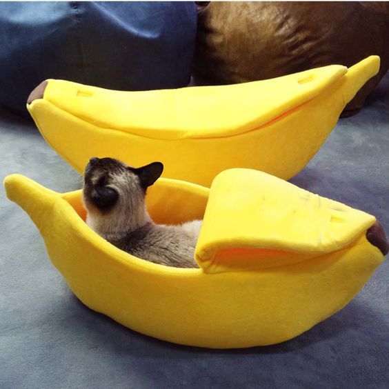 Banana Cat Bed