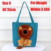 Lion Cat Bag